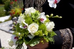 img_6356b.jpg