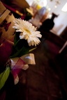 img_6390b.jpg