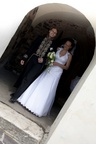 img_6416b.jpg