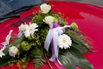 img_6442b.jpg