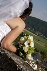 img_6523b.jpg