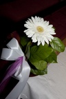img_6590b.jpg