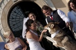img_6742b.jpg