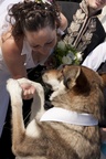 img_6744b.jpg