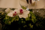 img_6811b.jpg
