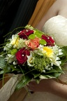 img_6038b.jpg