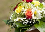 img_6160b.jpg
