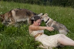 img_6208b.jpg